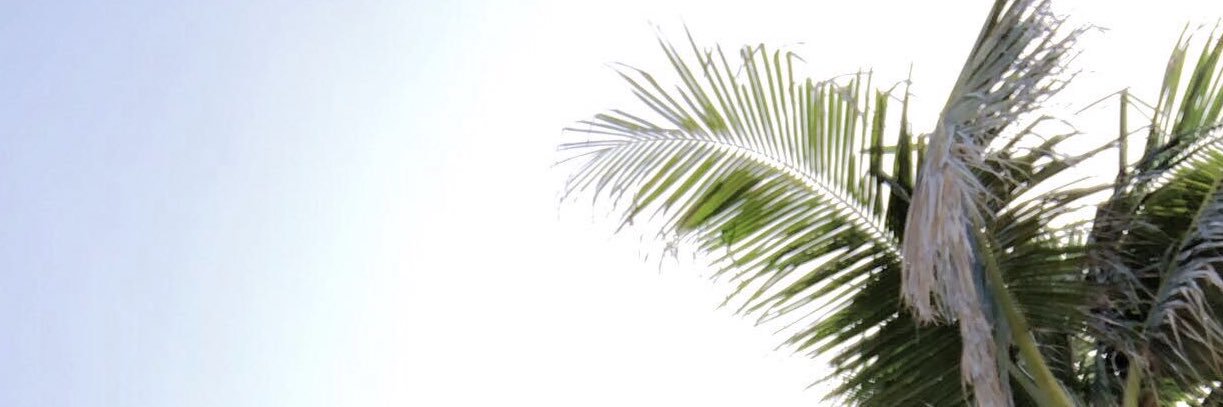 MarcCheck1212's profile banner image