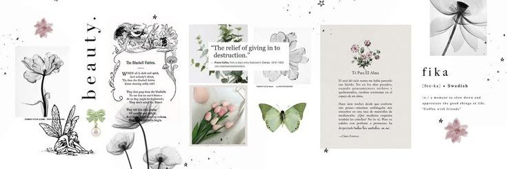 vanillasdx's profile banner image