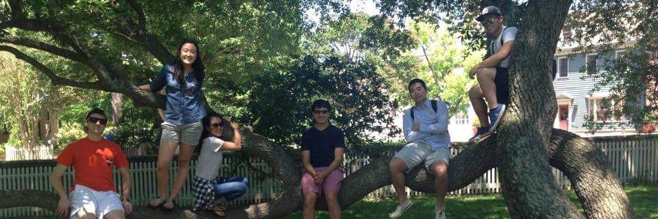 stephankimchi's profile banner image