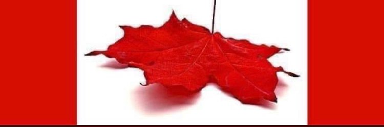 itsmeadam__'s profile banner image
