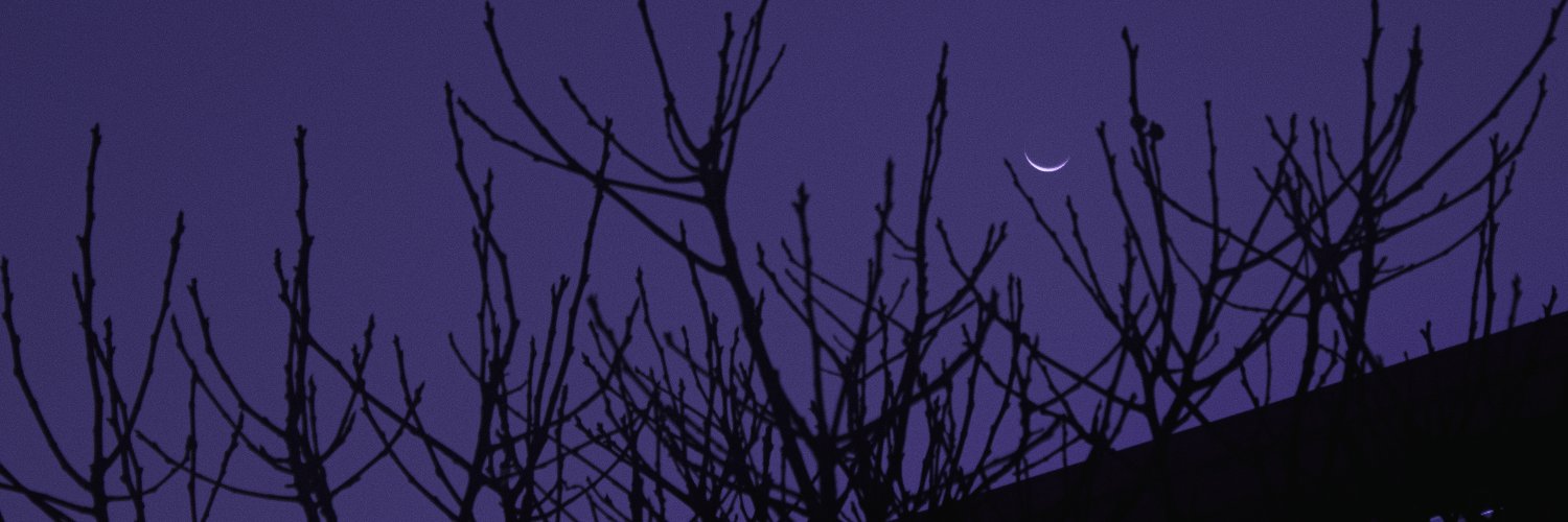 DarkCygnus's profile banner image