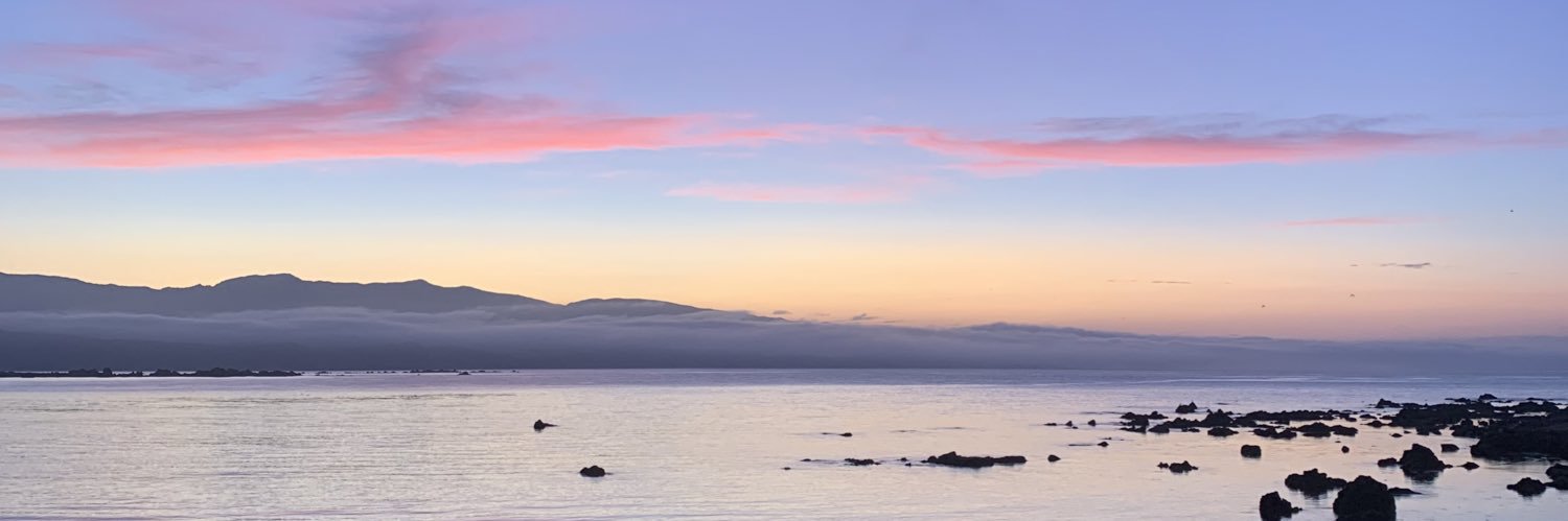 hol3479's profile banner image