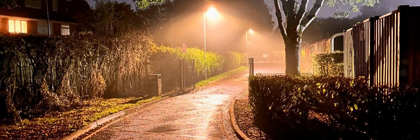 Calliwags  banner