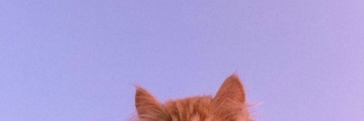 kallmetokyo's profile banner image
