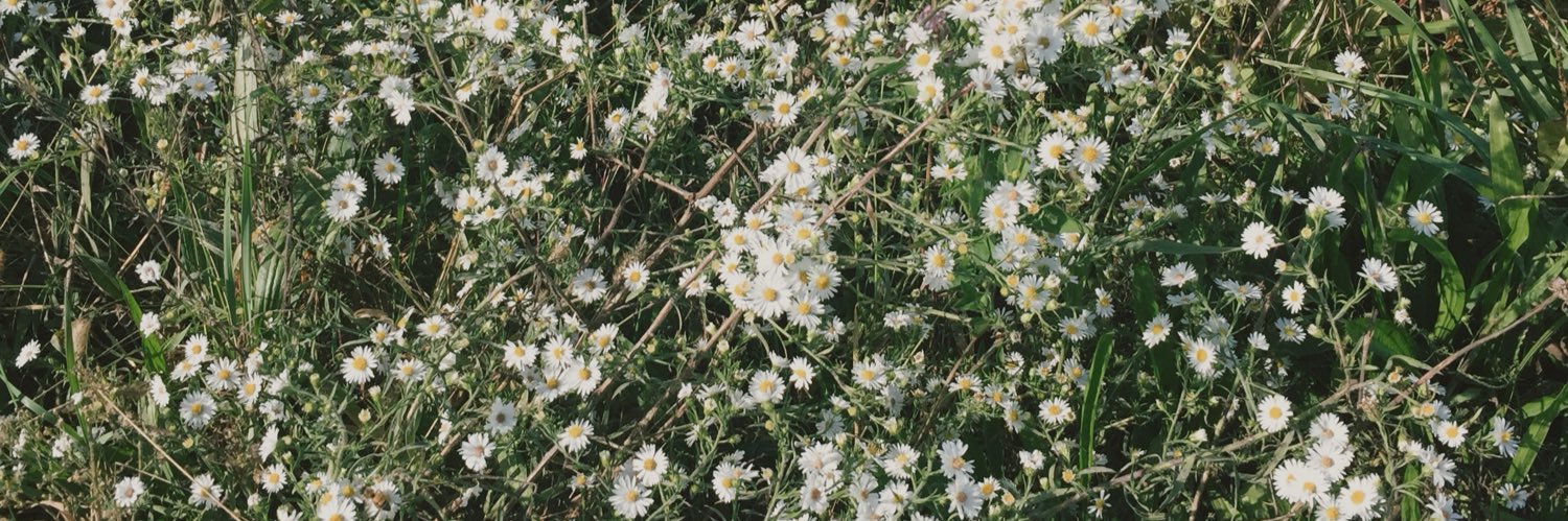 Abby🌷 banner