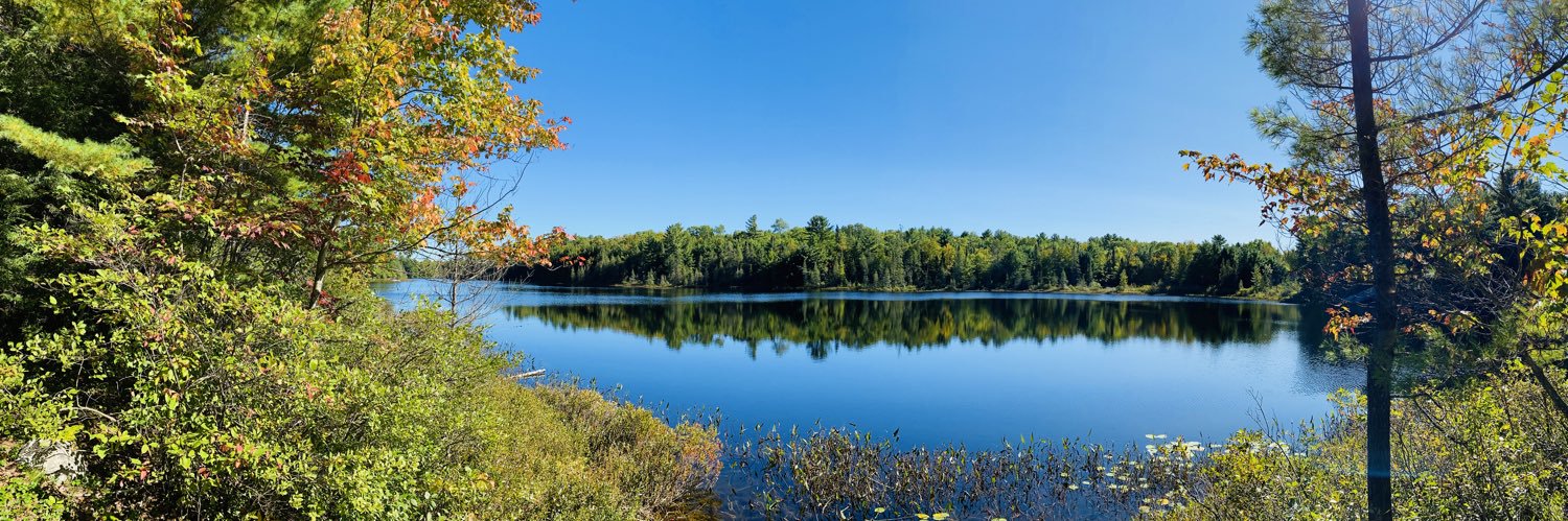 Ruth Dawson Clegg 🇨🇦 Vive Le Canada 🇨🇦 banner