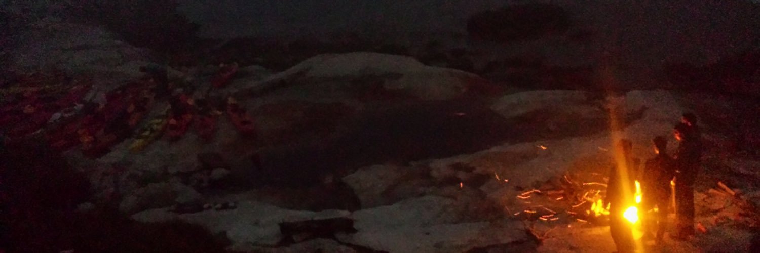 Sarahecks's profile banner image