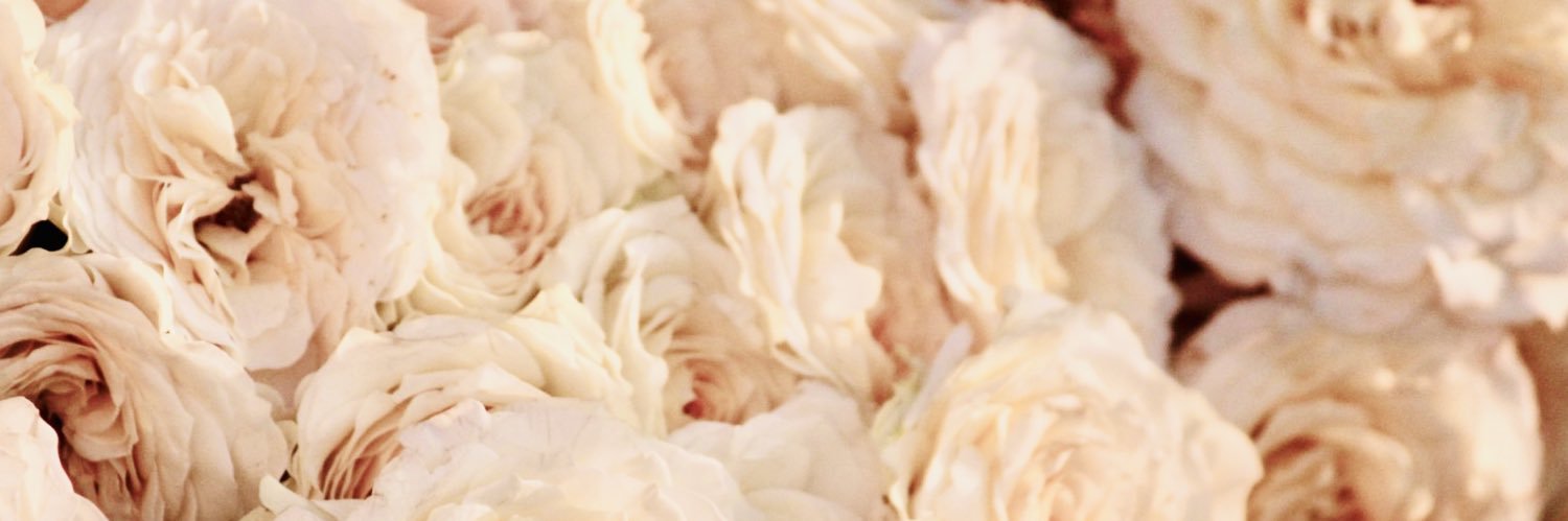 transvinelle's profile banner image