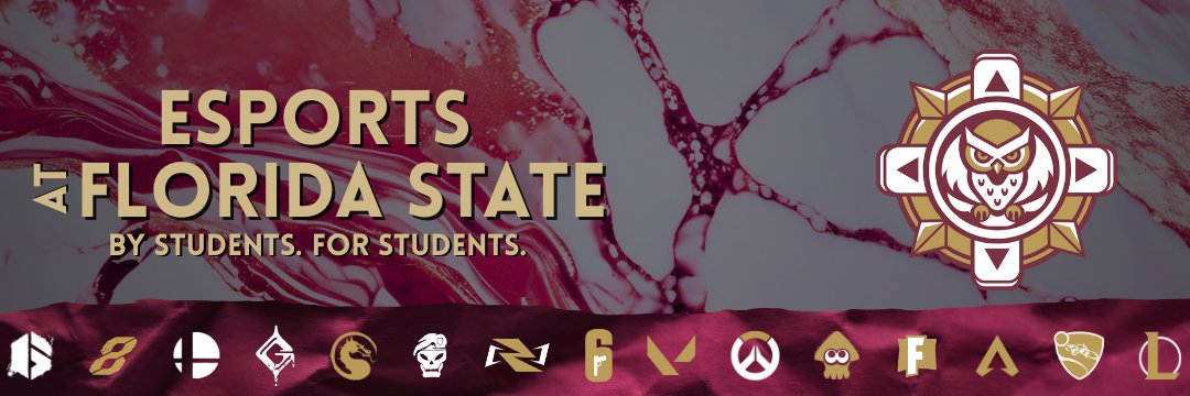 EsportsatFSU's profile banner image