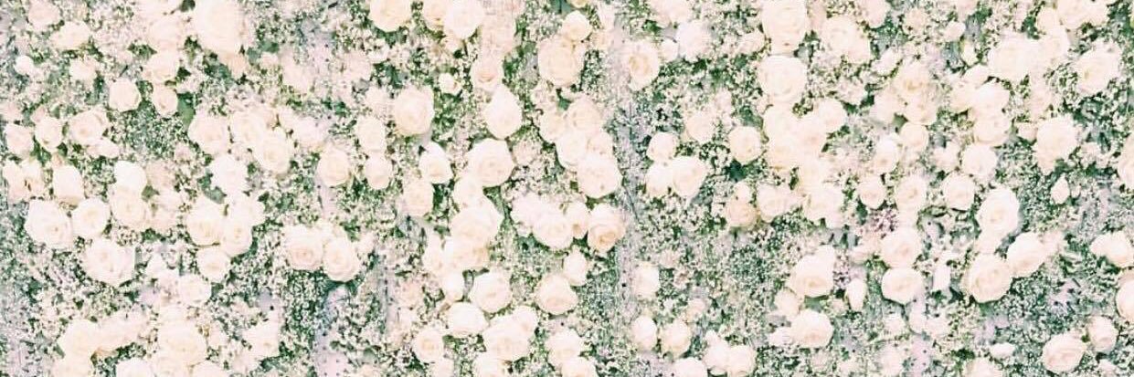 ash_josephson's profile banner image