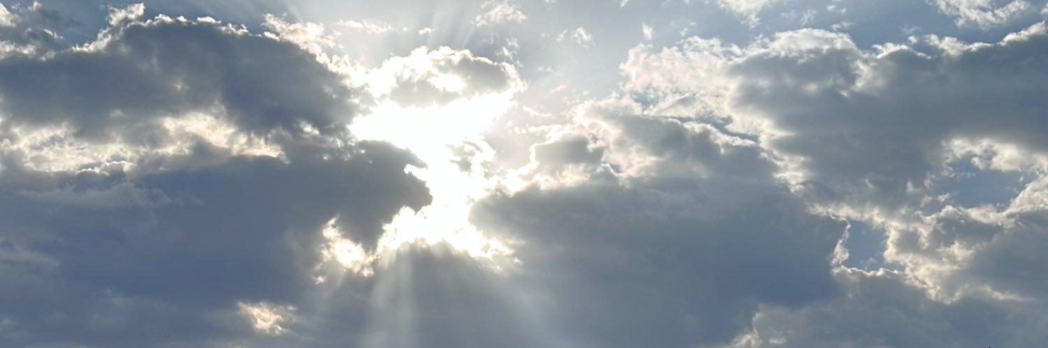 oakcatton1999's profile banner image