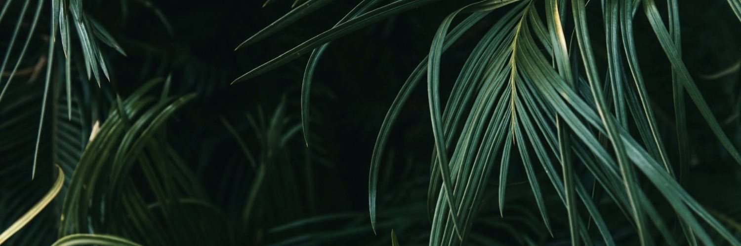 吉野 banner