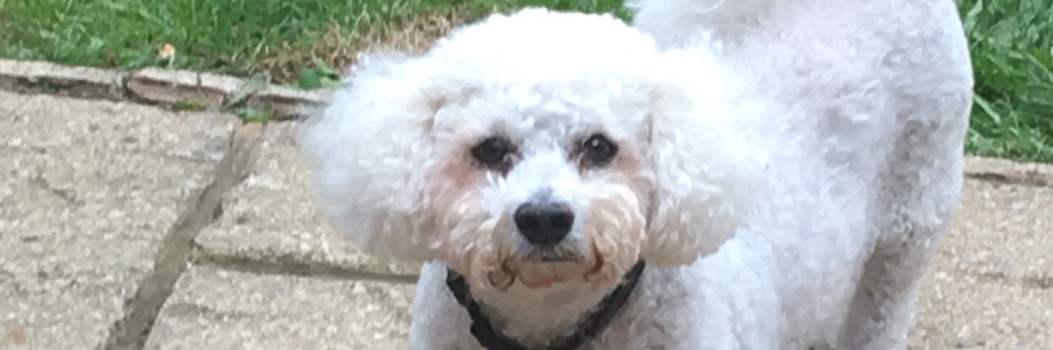hmb67's profile banner image