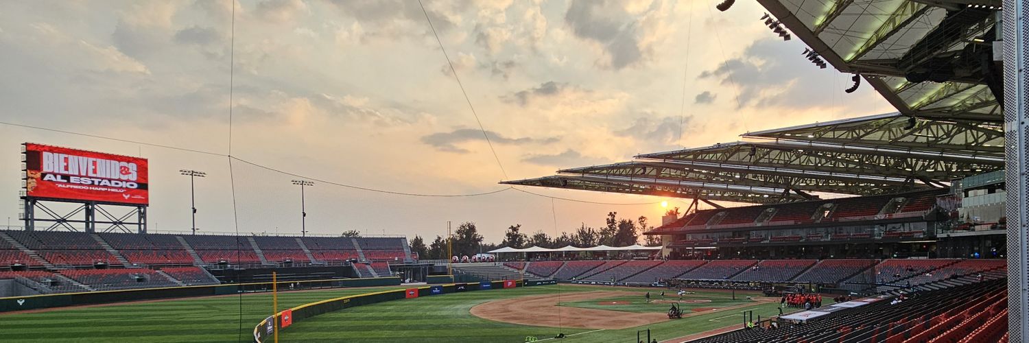 Daniela Galindo banner