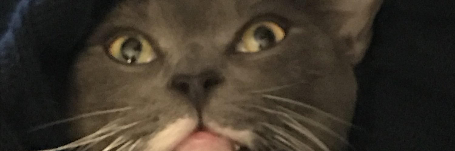 Geechman's profile banner image