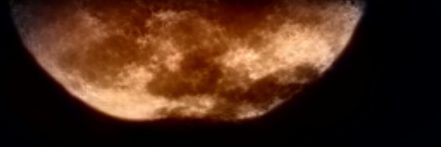 Lilacosmicat's profile banner image