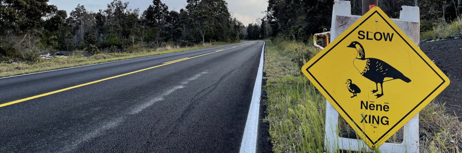 Lora la exploradora ✈️🌍 banner