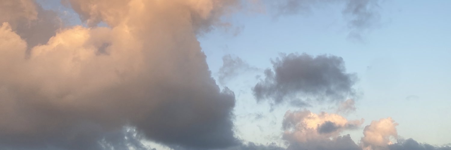 🖤 banner