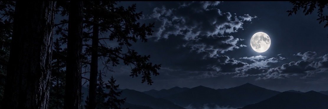 saipon0x's profile banner image