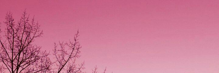 dew_dewss's profile banner image