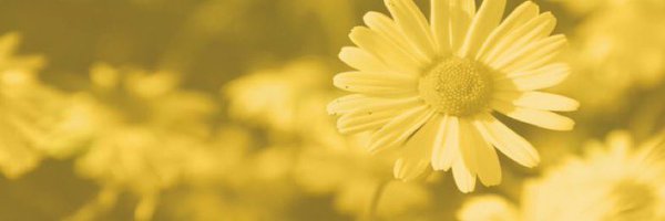 i1eei5 Profile Banner