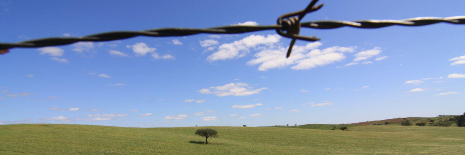 g0nsal's profile banner image