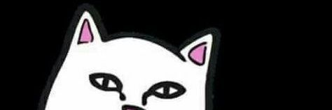 meow banner