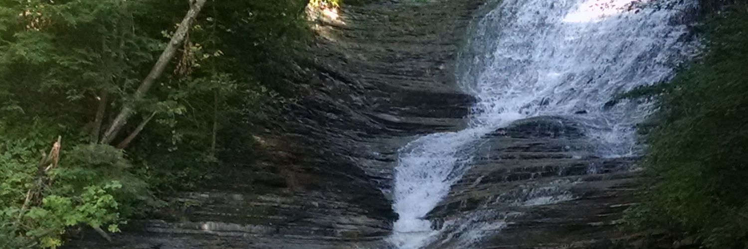 KingLodicX's profile banner image