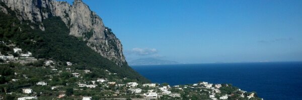 loonybird2 Profile Banner