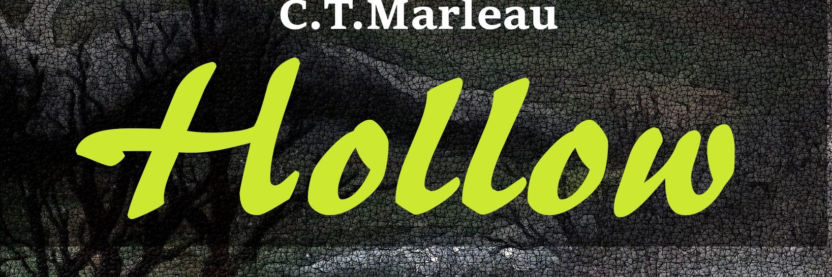 CTMarleau's profile banner image
