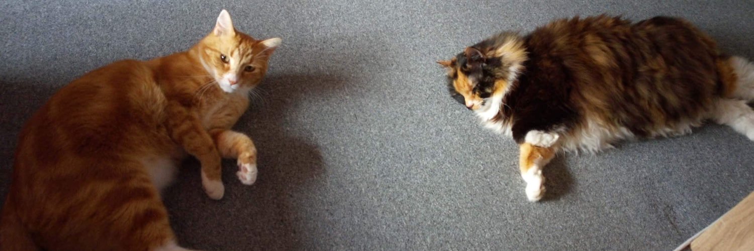 t.tv/Tarkangaming banner