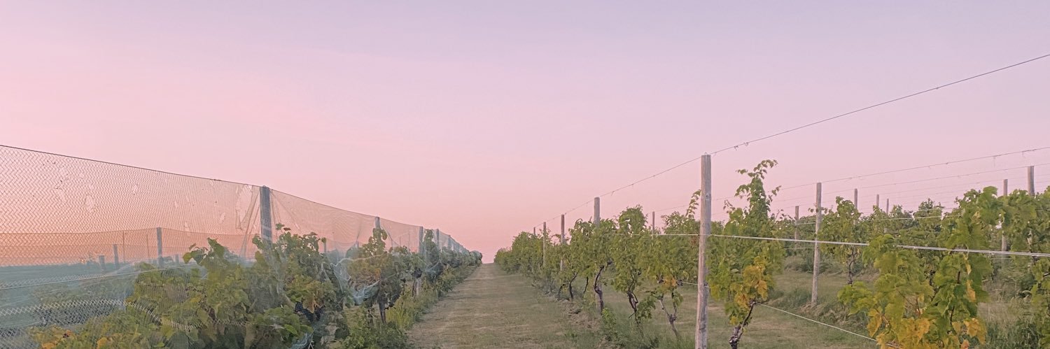 madison barclay banner