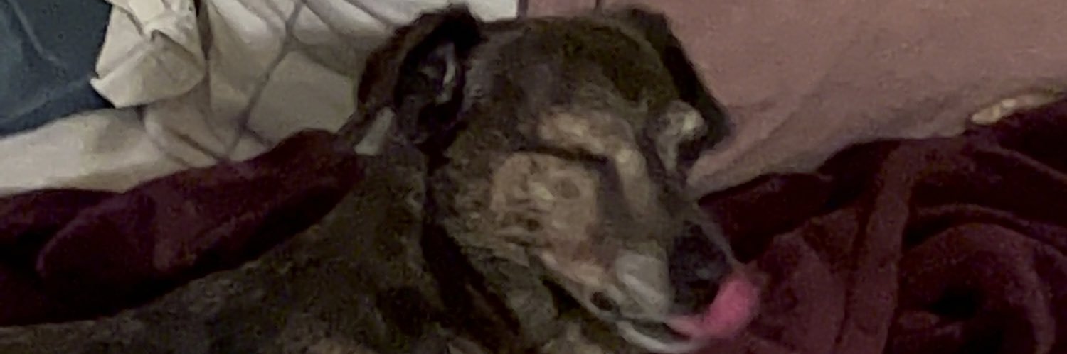 aliluvspizza's profile banner image