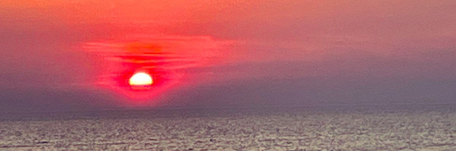 sydneydonovan_'s profile banner image