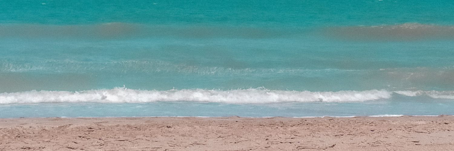 Fiotwitt's profile banner image