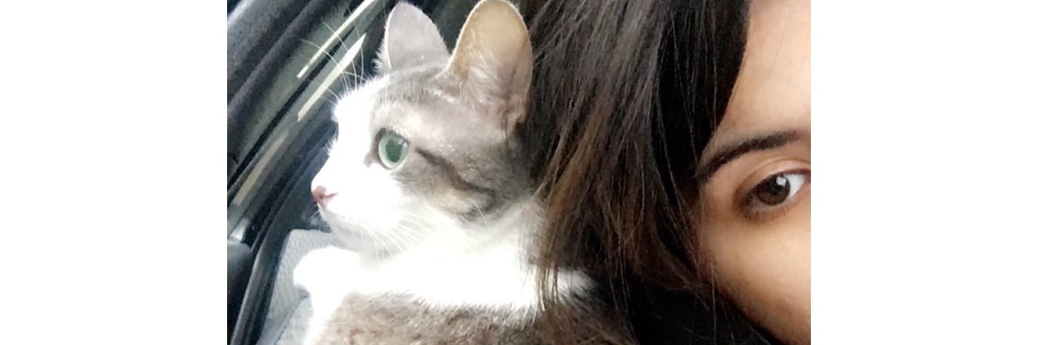 caddyyyyy_'s profile banner image