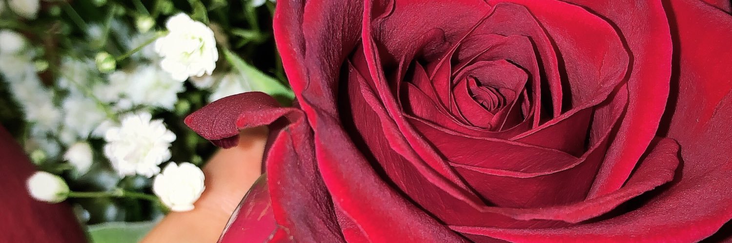 macey237's profile banner image