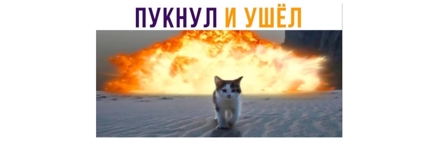 nex_dex's profile banner image