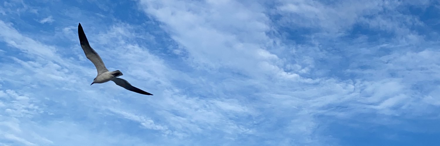 ajbb83's profile banner image