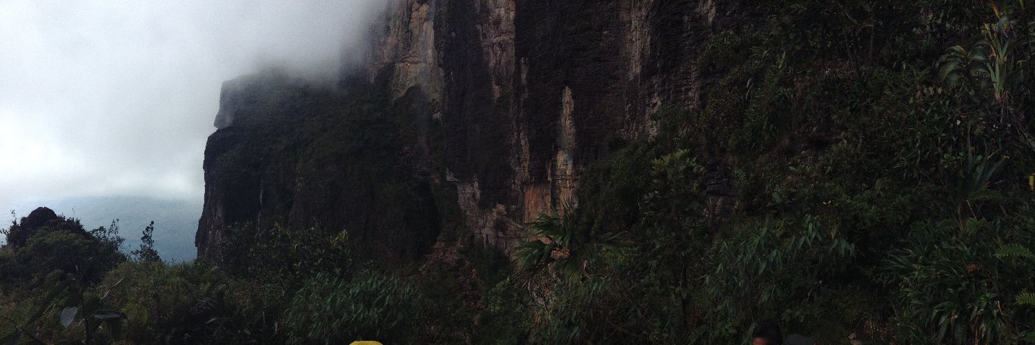luis_reyesh's profile banner image