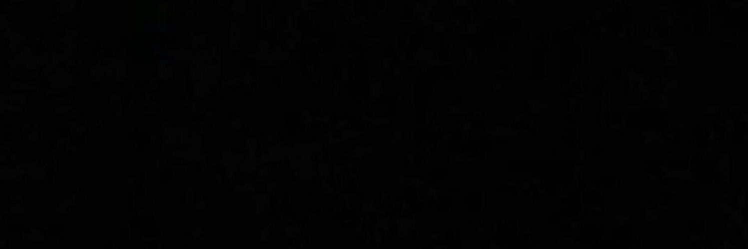 icaruslytommo's profile banner image