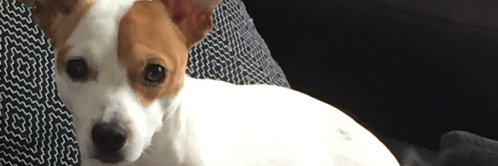 sophydamien's profile banner image