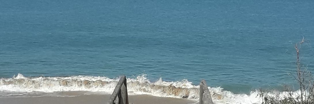 dani moyano sequera banner