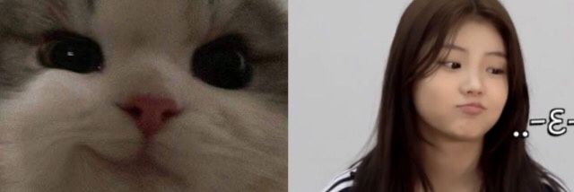 leewonheeq's profile banner image