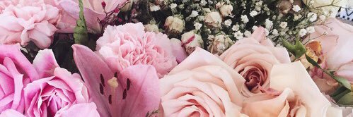 norely_97's profile banner image