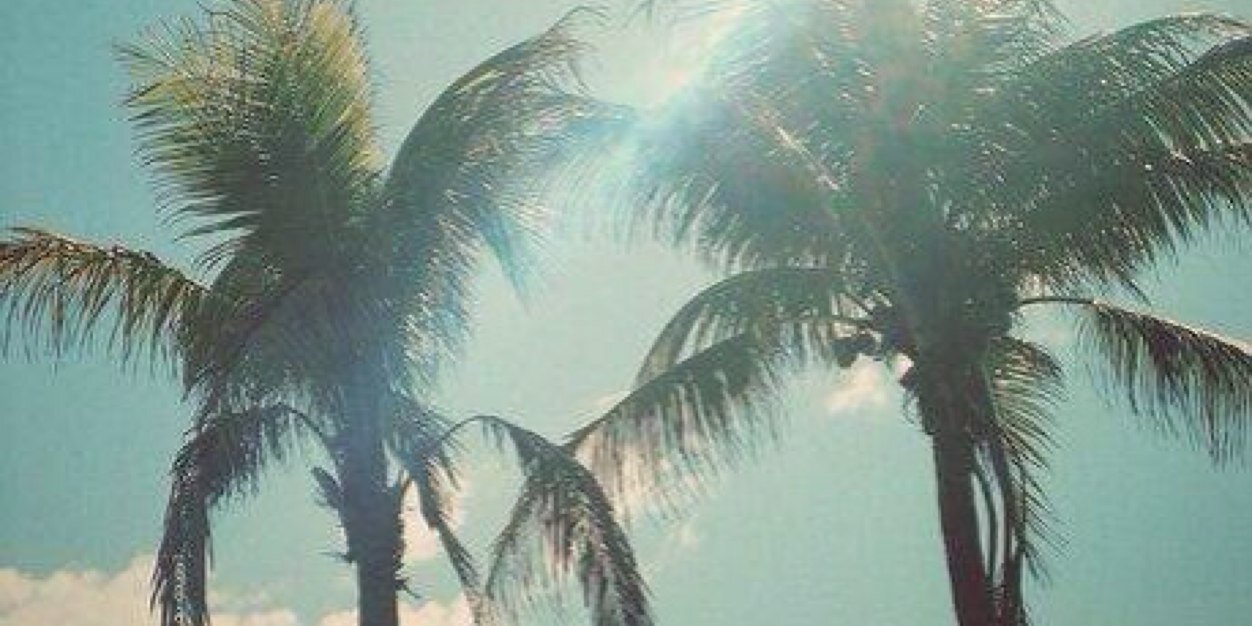 Charlottevdb_'s profile banner image