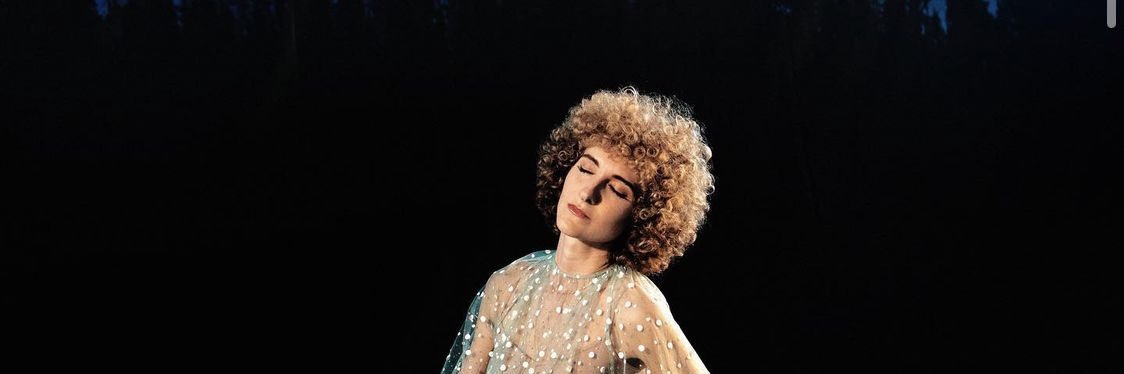 Sufjan Stevens Facts's banner