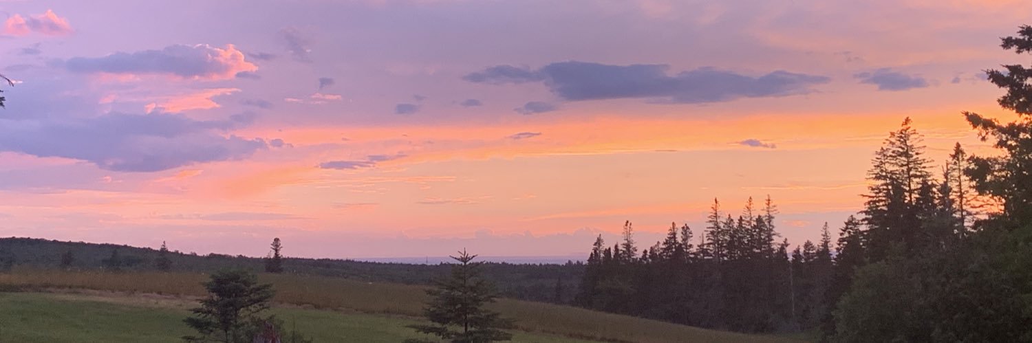 whorag99's profile banner image