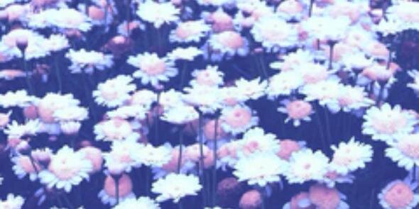 barrosoa03's profile banner image