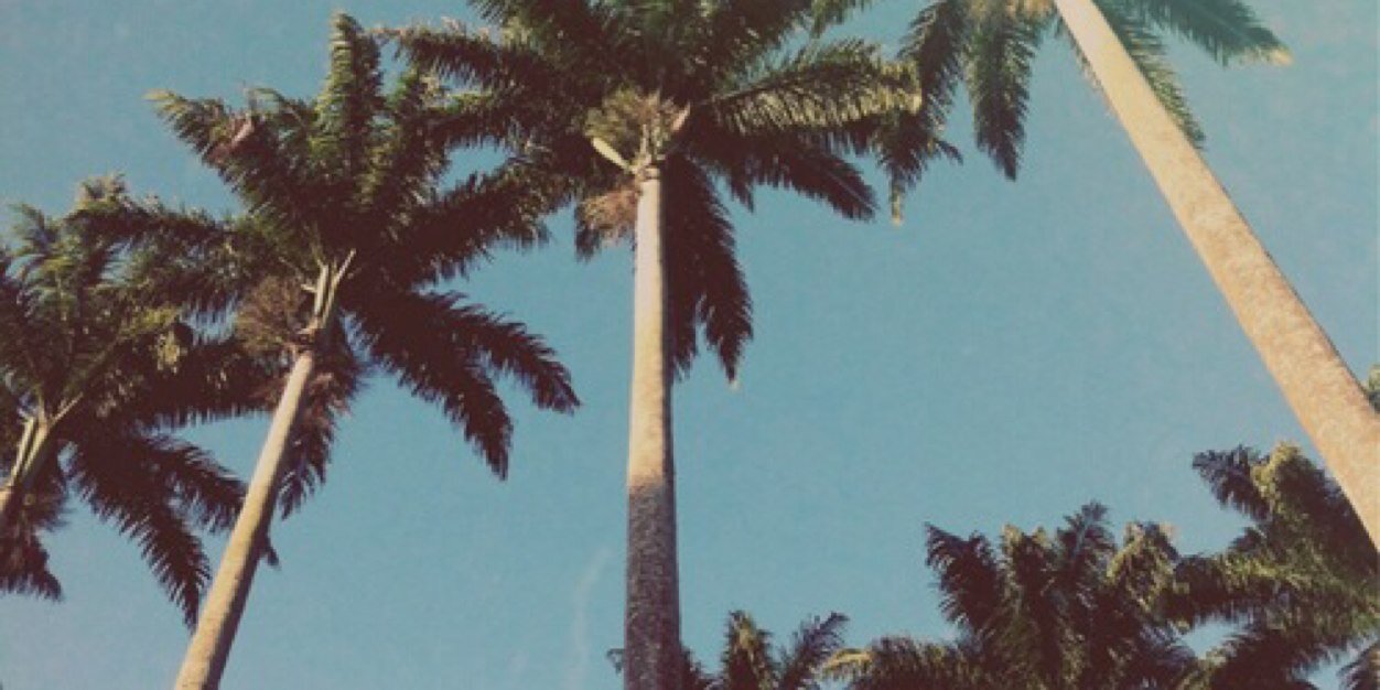 _Officialk's profile banner image